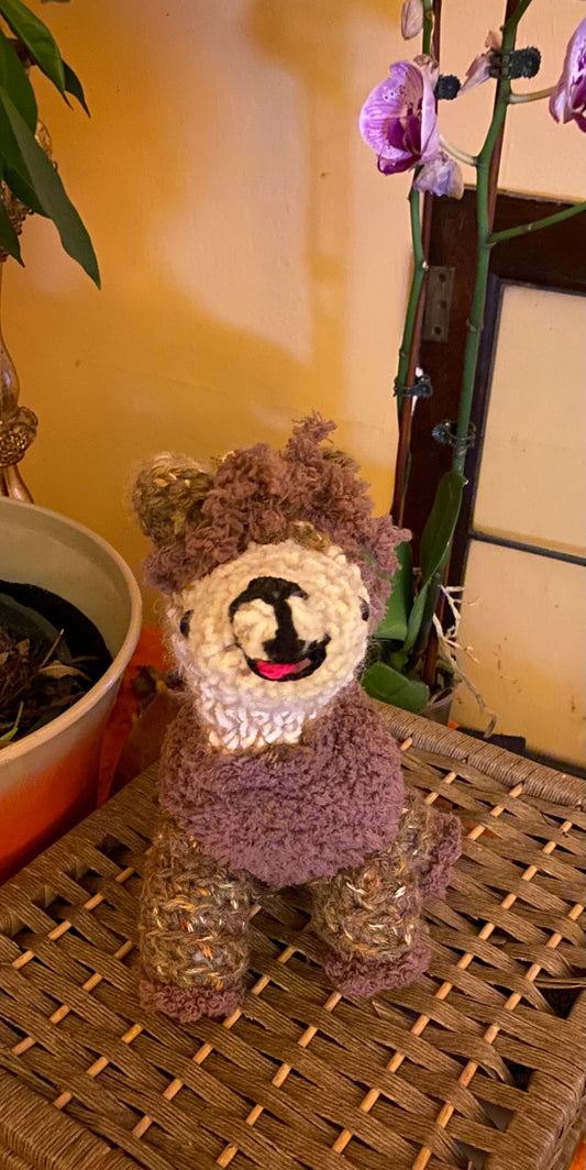 Lorenzo Llama
