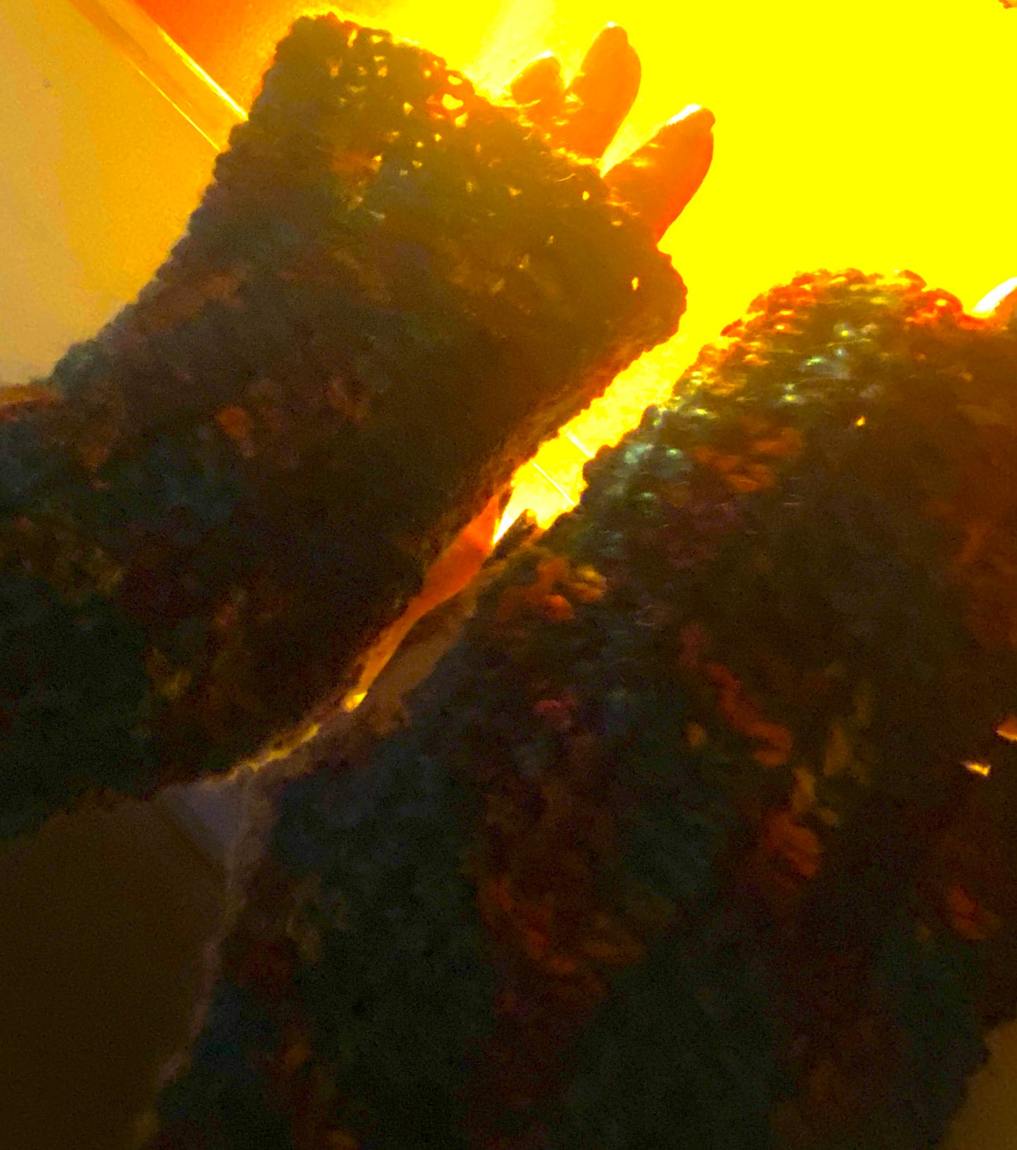 Fingerless gloves